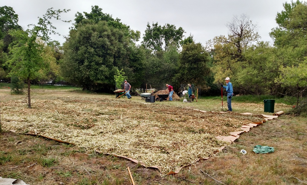 More paper and mulch